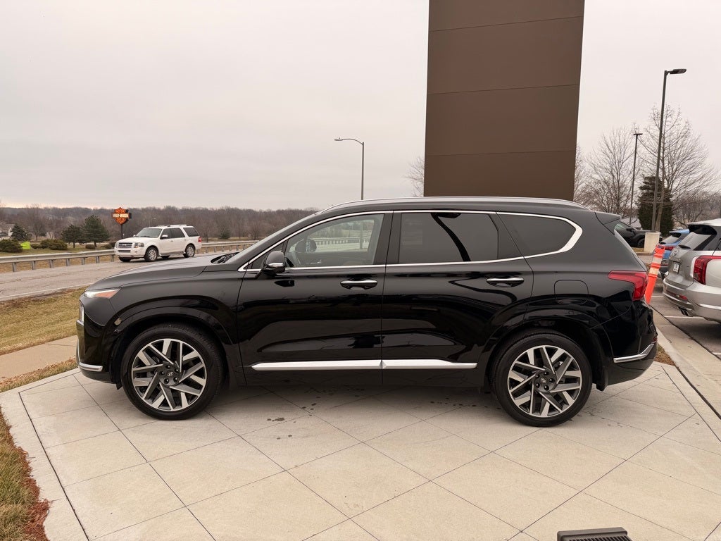 2023 Hyundai Santa Fe Calligraphy