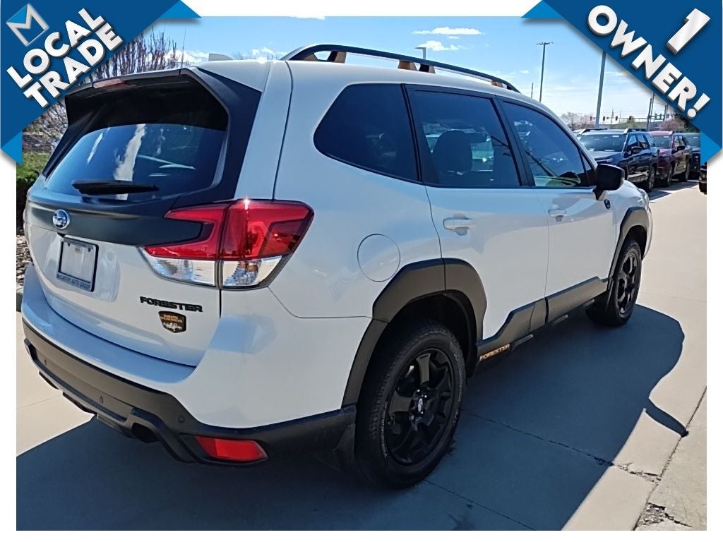 2023 Subaru Forester Wilderness