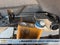 2026 Chevrolet Colorado Crew Cab Short Box 4-Wheel Drive ZR2