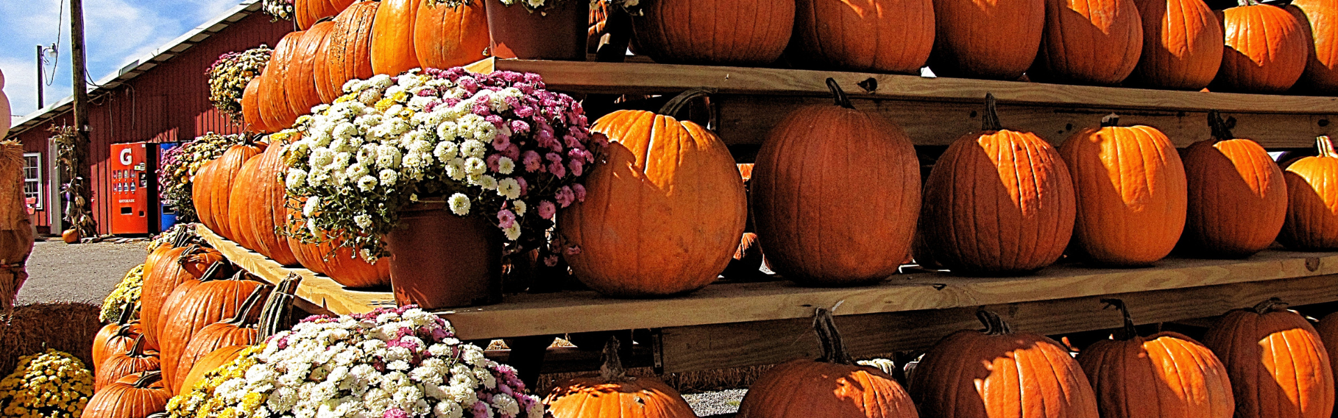 fall