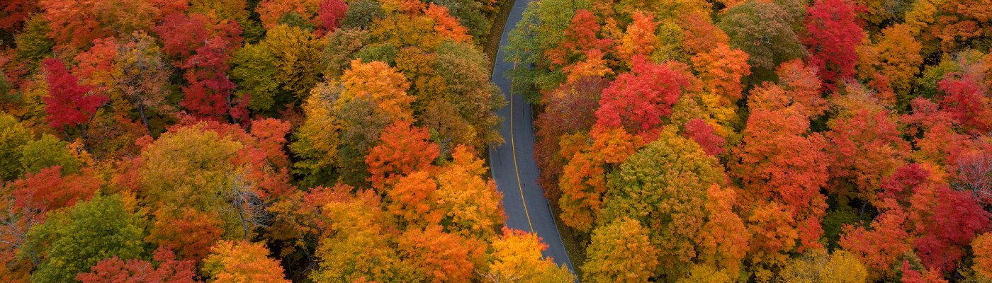 fall
